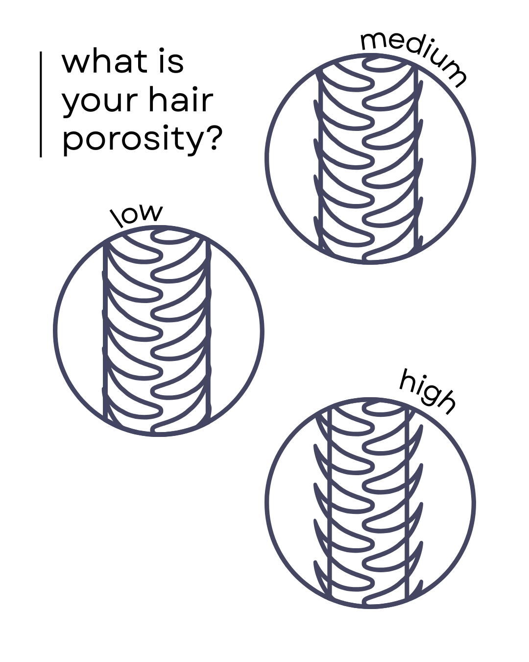 The Truth About Hair Porosity: Why It Matters for Your Hair Care Routine