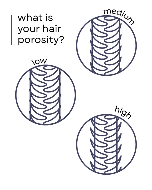 The Truth About Hair Porosity: Why It Matters for Your Hair Care Routine